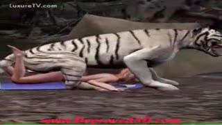 Yo'lbarsning uzun siki rus zoofilining mushukini yirtib tashlaydi