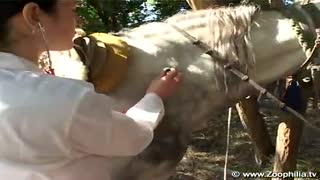 Екі қыз мен жылқының хайуанаттар бағының қатыгез топтық порносы
